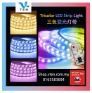 240V Double Row 3 Color LED Strip Light Warm White Blue Purple 1